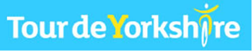 tdy logo